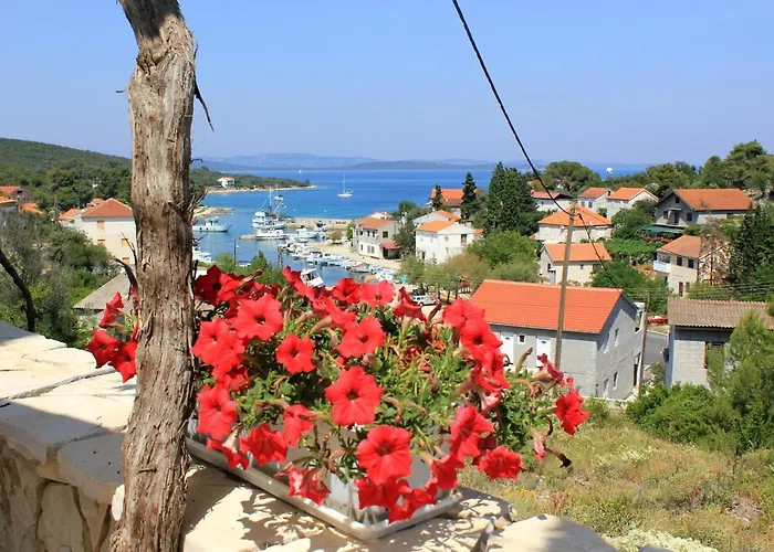 Lägenhet With Wifi Zman, Dugi Otok - 887