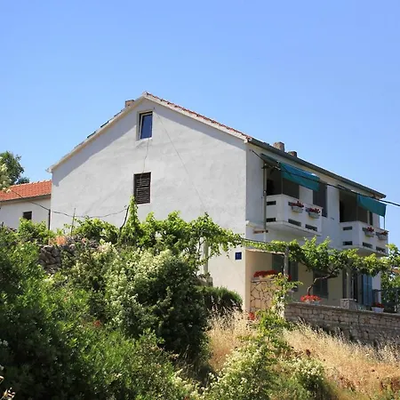 With Wifi Zman, Dugi Otok - 887