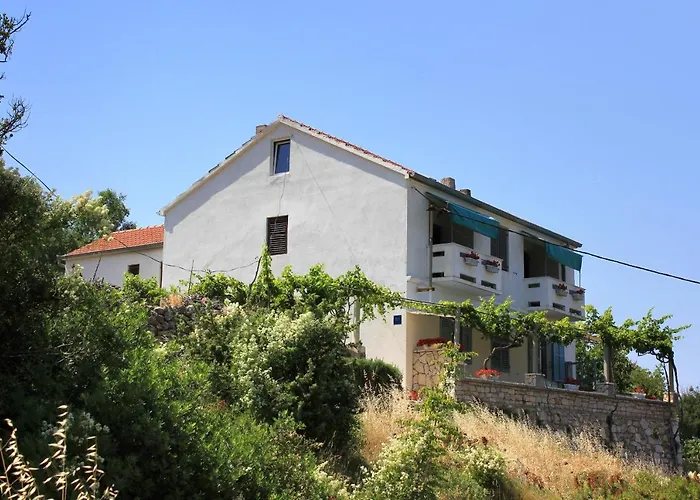 With Wifi Zman, Dugi Otok - 887