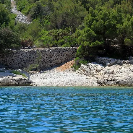 With Wifi Zman, Dugi Otok - 887 Žman