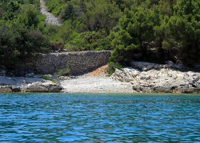 With Wifi Zman, Dugi Otok - 887 Žman