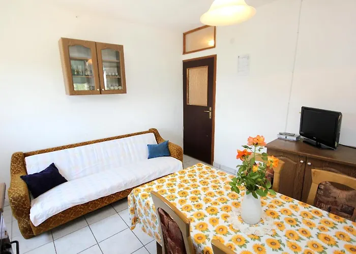 With Wifi Zman, Dugi Otok - 887 Žman