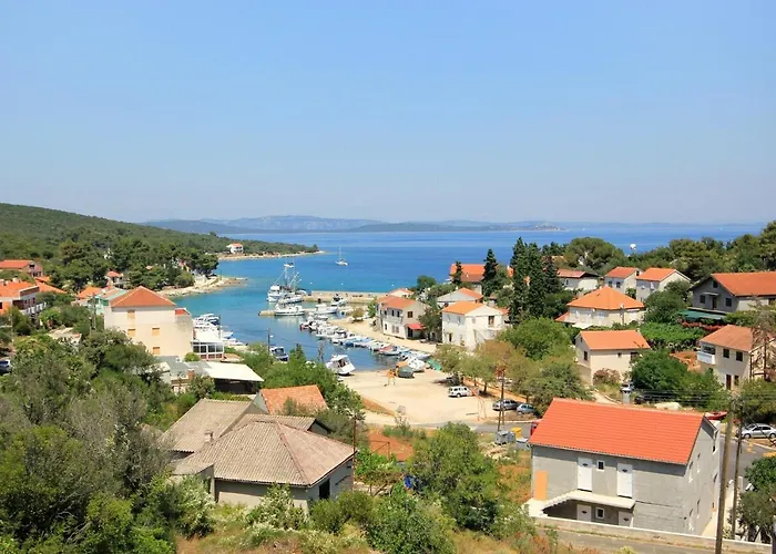 With Wifi Zman, Dugi Otok - 887